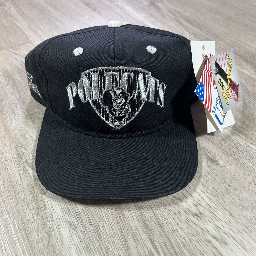 VTG Albany Polecats Snapback Hat NWT MiLB Baseball #1 Apparel Black Cap USA
